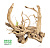 DECO NATURE PREMIUMSELECT AZALEA L - Декорация класса премиум "Коряга Азалия" 20-29 см.
